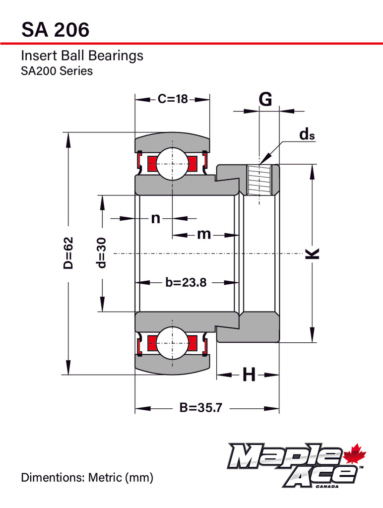 SA206G 30mm Bore Insert Bearing Re-lube w/Eccentric Locking Collar